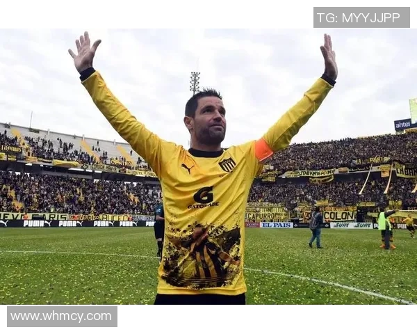 波特诺与索尔美洲激战在即谁将赢得这场南美足球盛宴